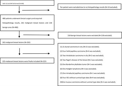 Association Between Vascular Index Measured via Superb Microvascular Imaging and Molecular Subtype of Breast Cancer